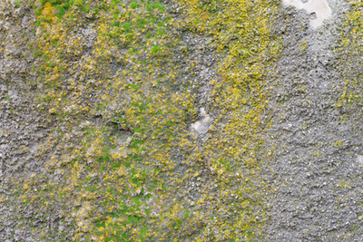 墙壁上的磨擦与裂缝